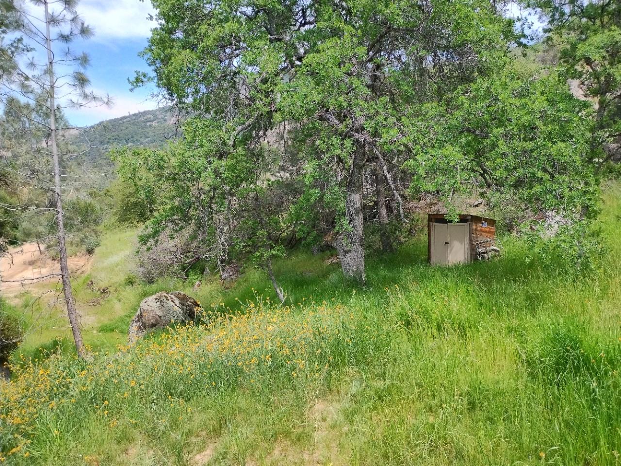 28666 Quail Springs Ln, Tollhouse, CA 93667