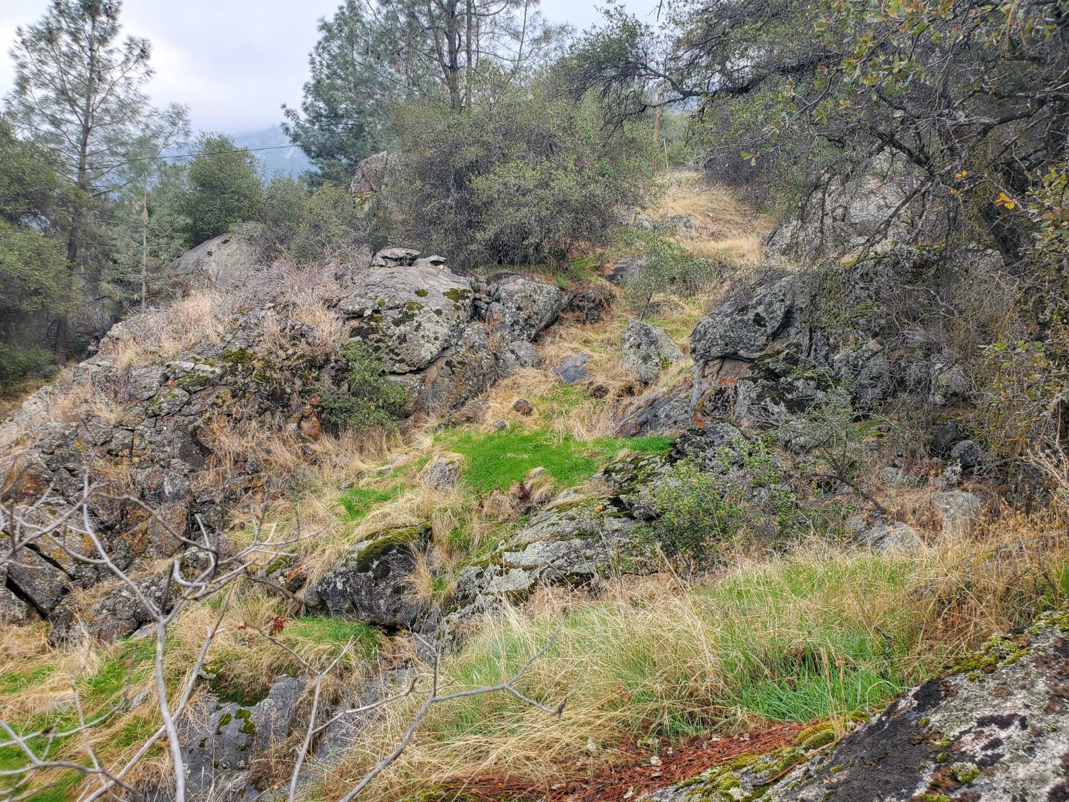 28666 Quail Springs Ln, Tollhouse, CA 93667