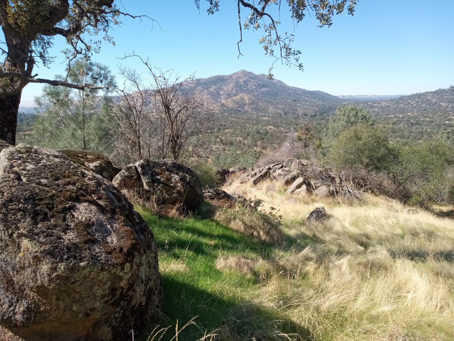 28666 Quail Springs Ln, Tollhouse, CA 93667