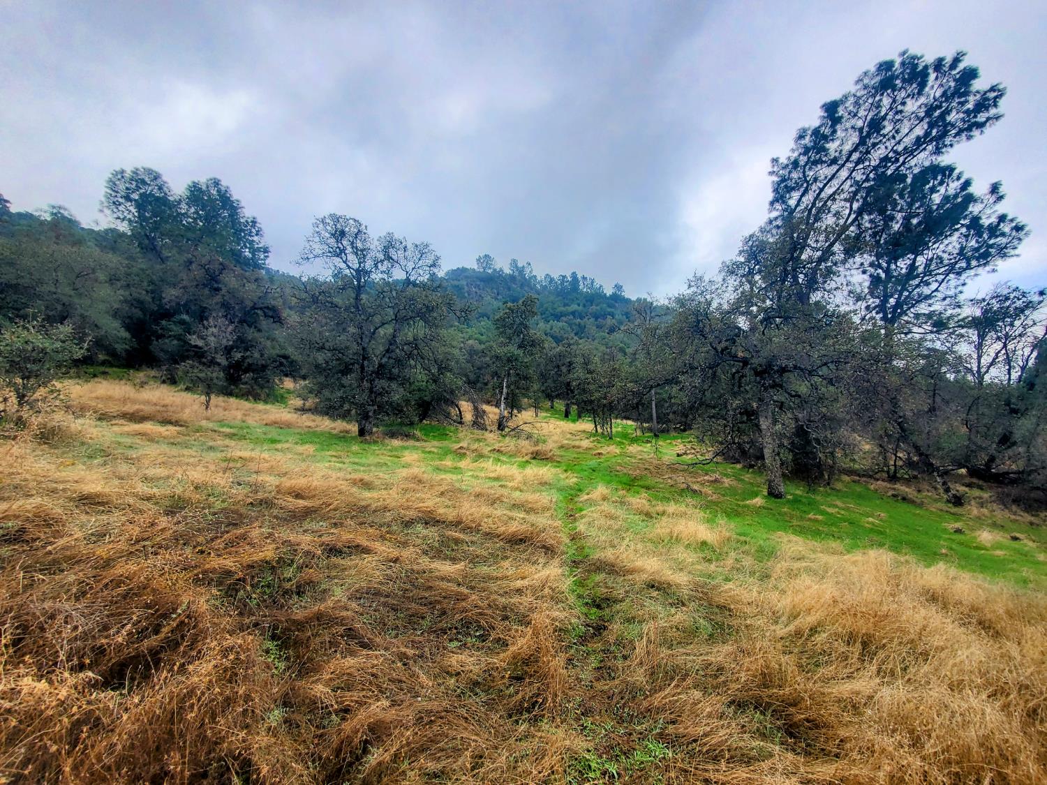 28666 Quail Springs Ln, Tollhouse, CA 93667