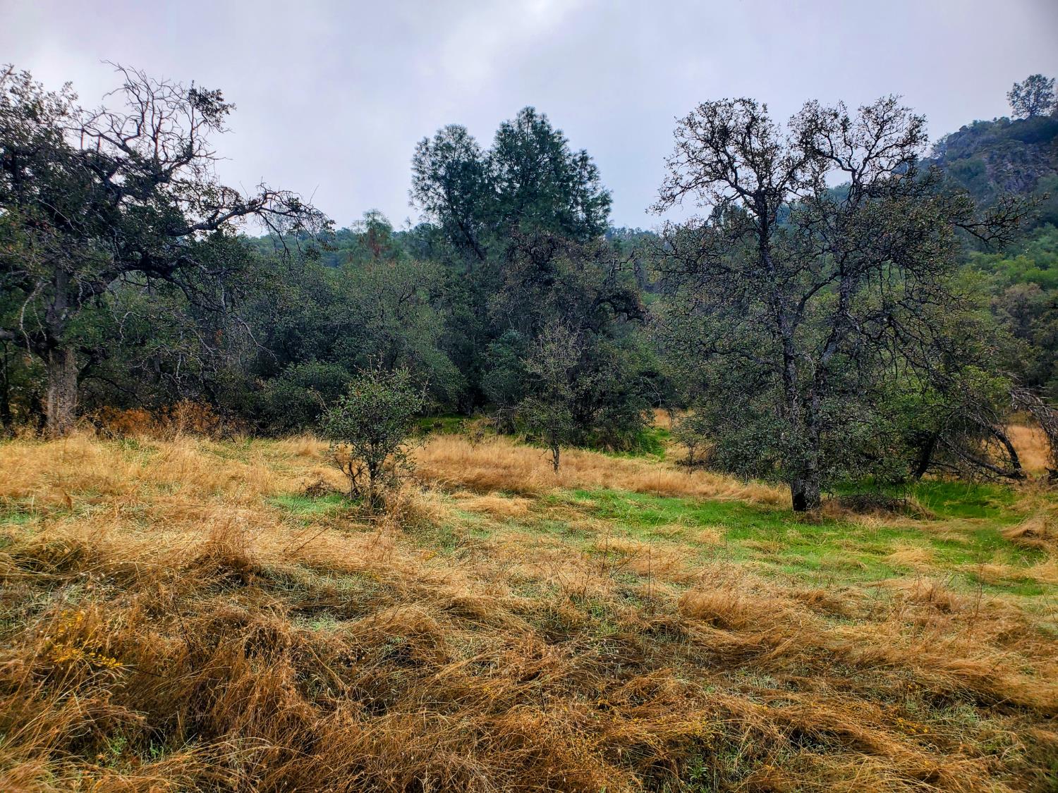 28666 Quail Springs Ln, Tollhouse, CA 93667