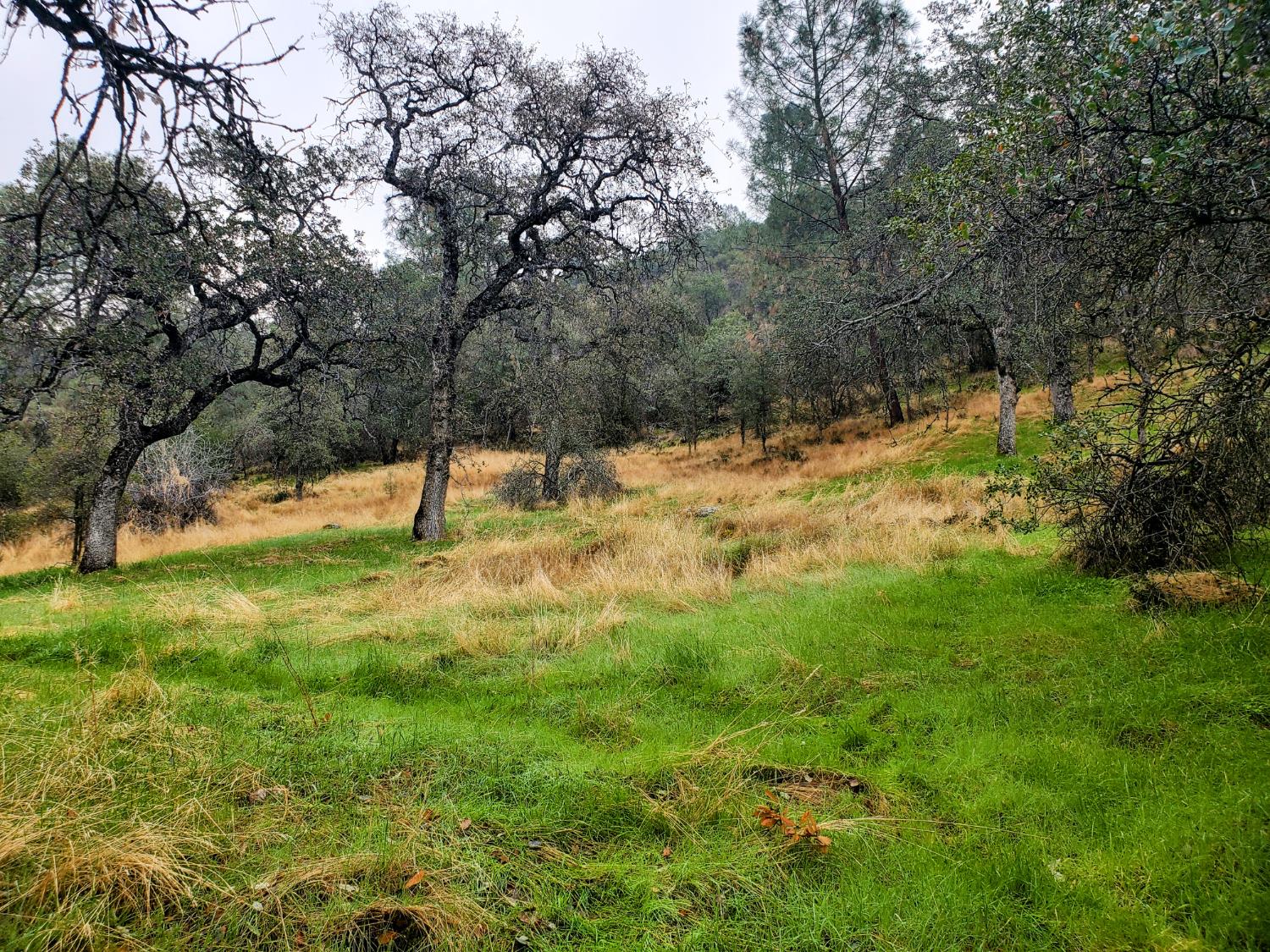 28666 Quail Springs Ln, Tollhouse, CA 93667