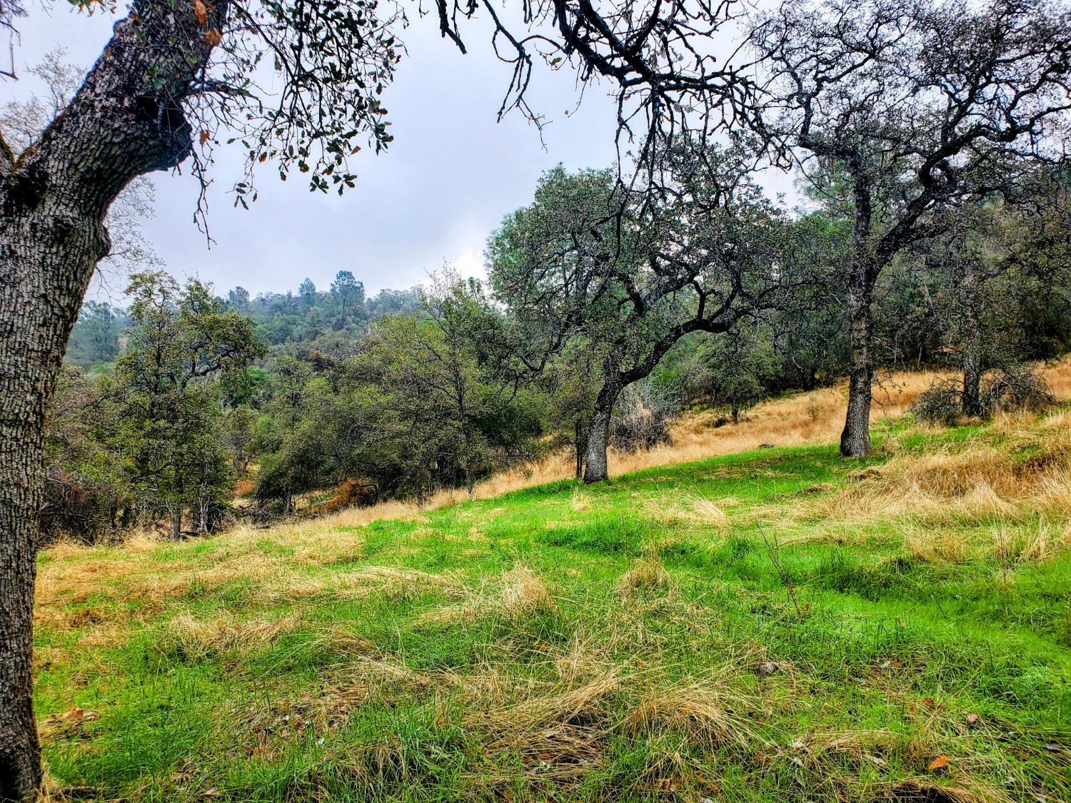 28666 Quail Springs Ln, Tollhouse, CA 93667