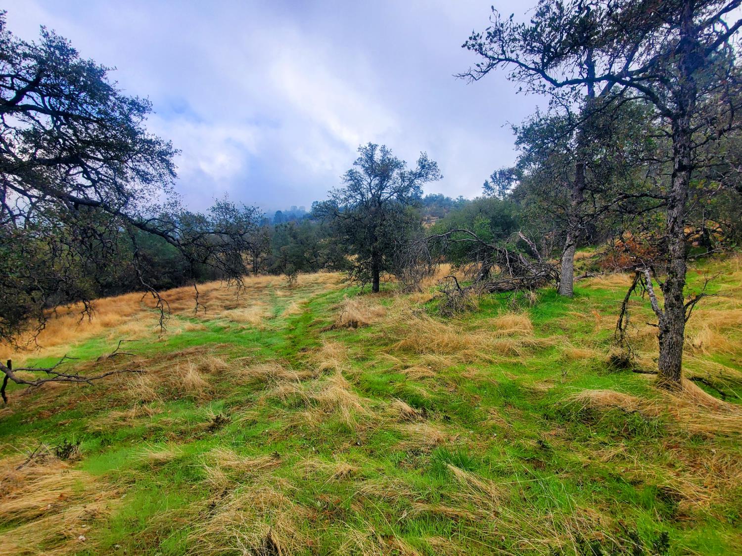 28666 Quail Springs Ln, Tollhouse, CA 93667