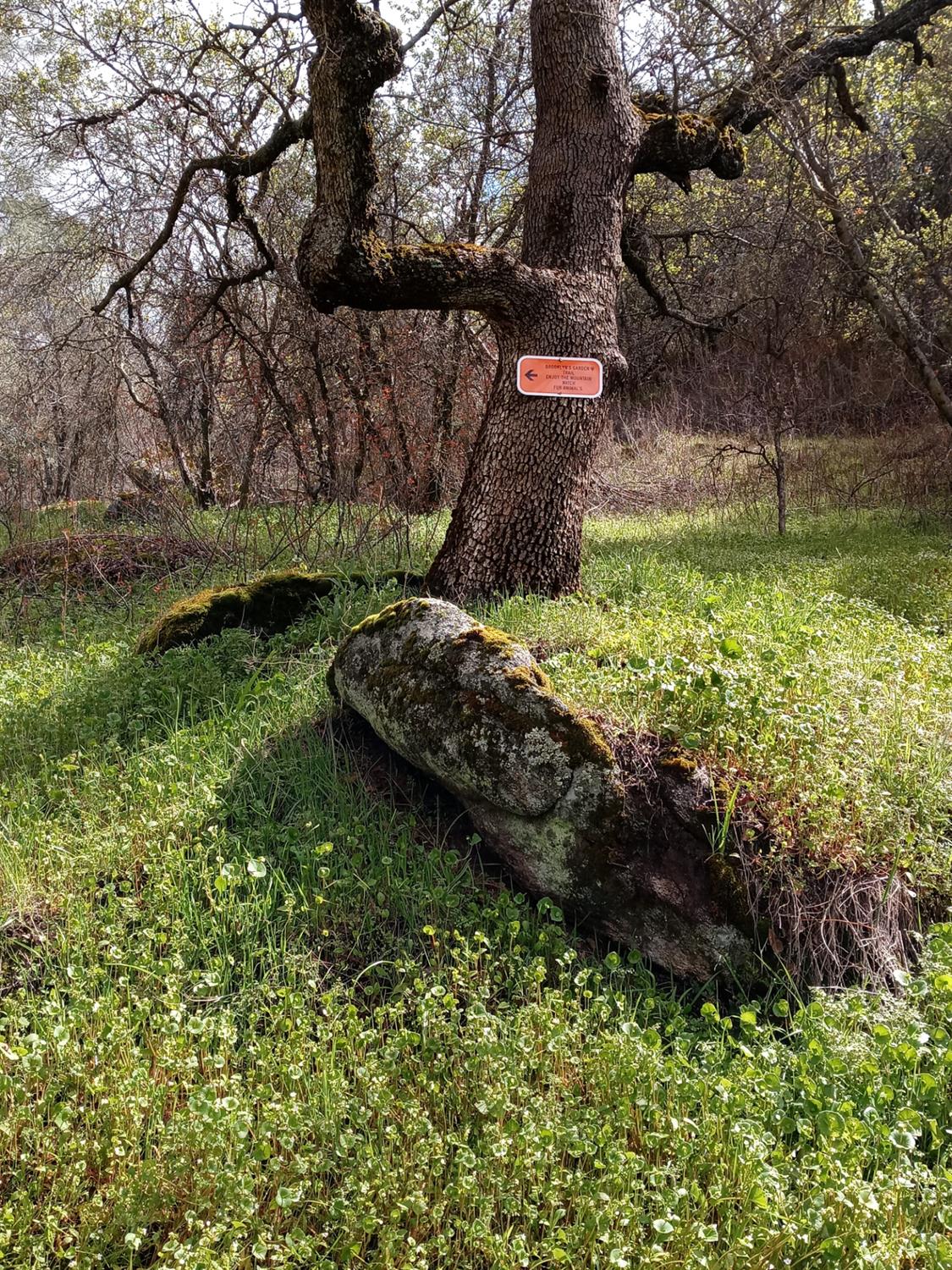 28666 Quail Springs Ln, Tollhouse, CA 93667