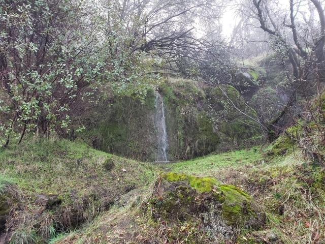 28666 Quail Springs Ln, Tollhouse, CA 93667