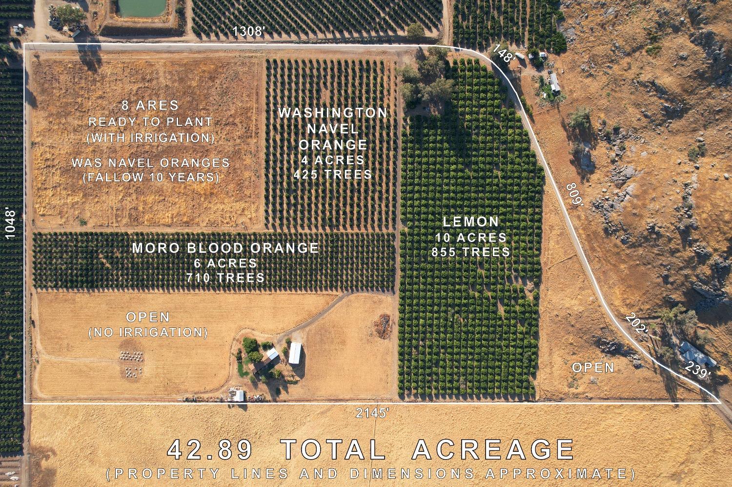 3363 S Anchor Ave, Orange Cove, CA 93646