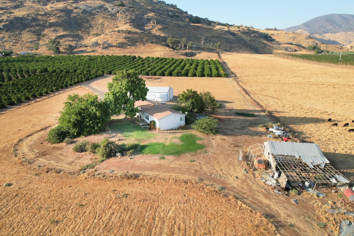 3363 S Anchor Ave, Orange Cove, CA 93646