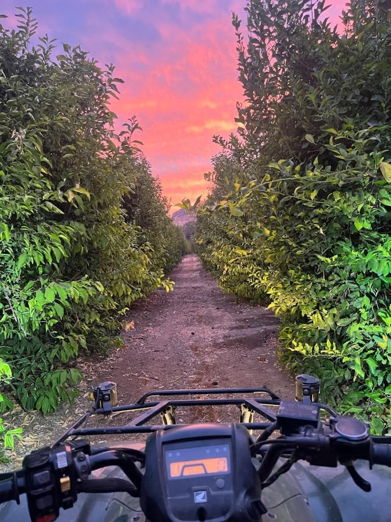 3363 S Anchor Ave, Orange Cove, CA 93646