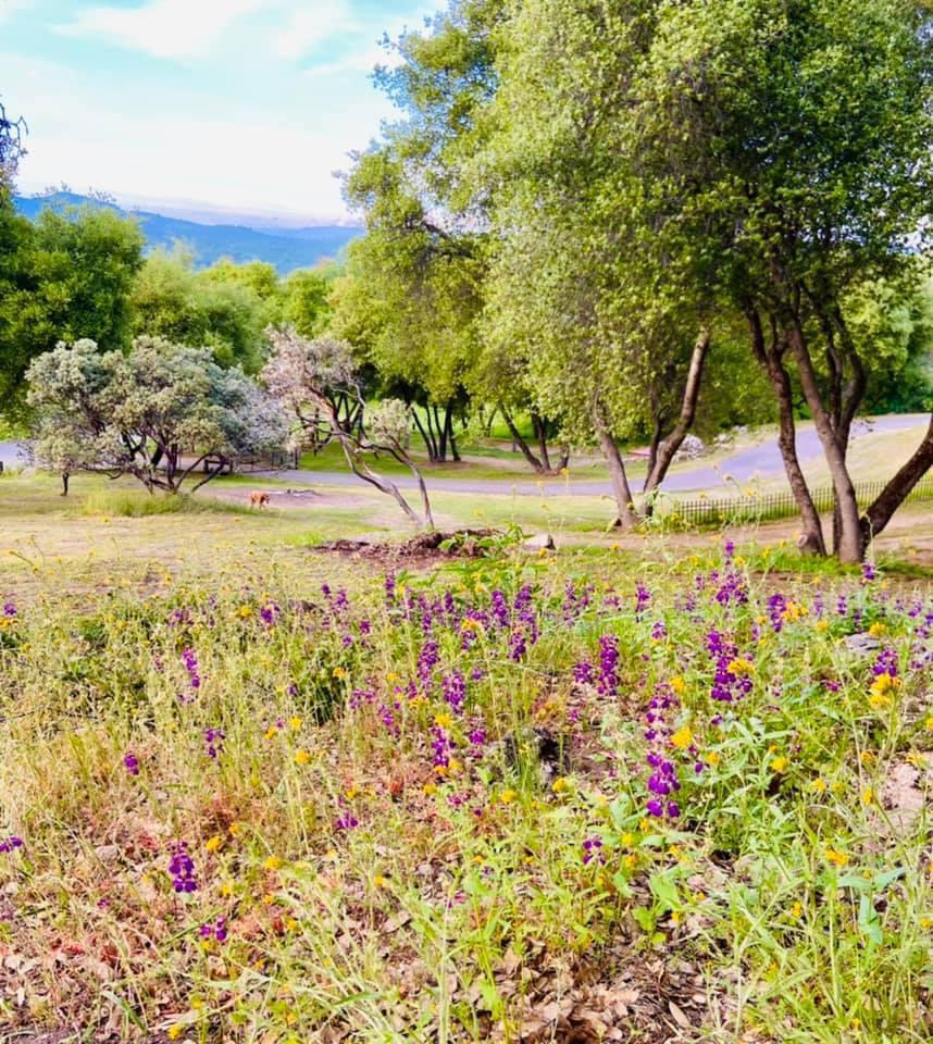 46474 Longview Ln W, Coarsegold, CA 93614