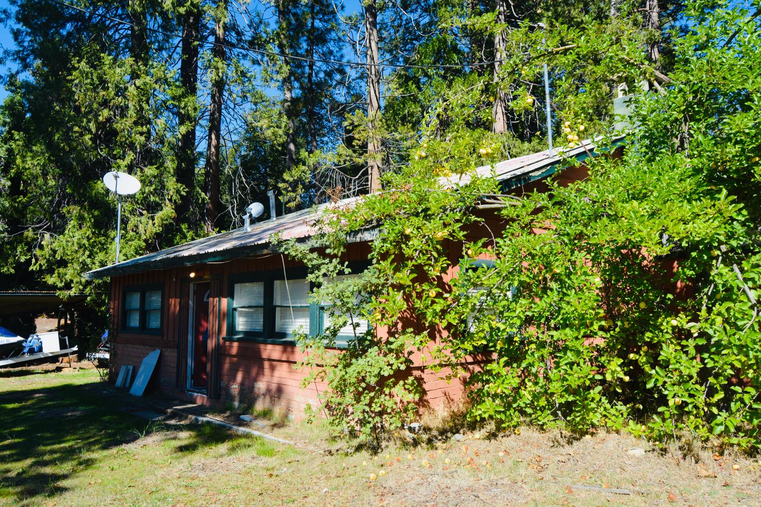 39656 Red Bud, Bass Lake, CA 93604