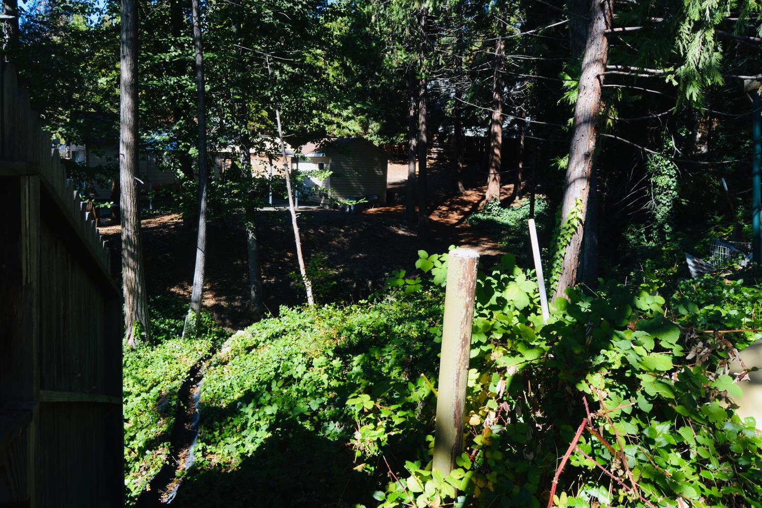 39656 Red Bud, Bass Lake, CA 93604