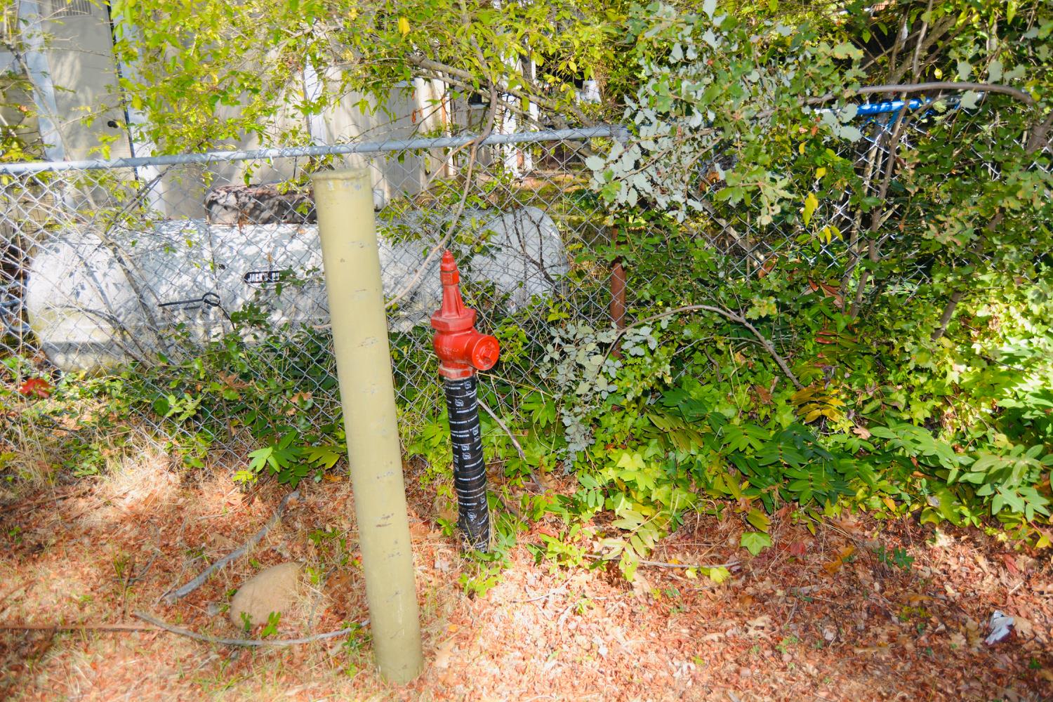 39656 Red Bud, Bass Lake, CA 93604