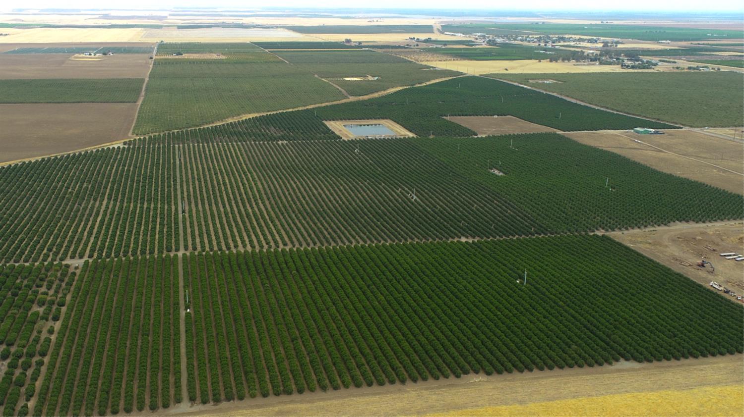 265 Acres Road 240, Ducor, CA 93218