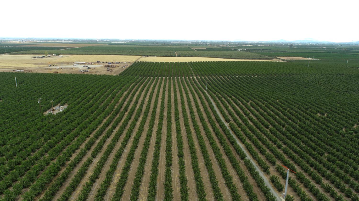 265 Acres Road 240, Ducor, CA 93218