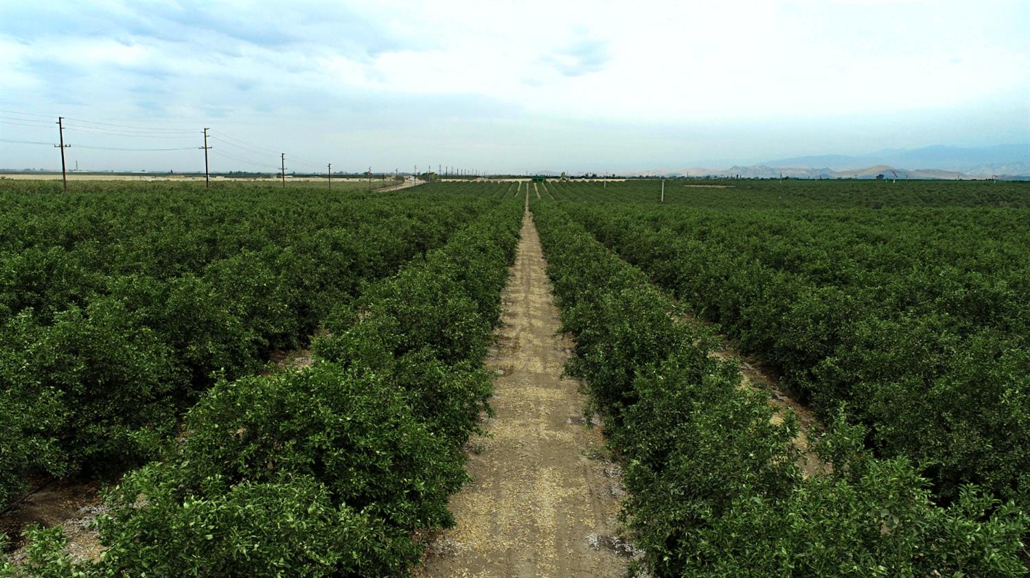 265 Acres Road 240, Ducor, CA 93218