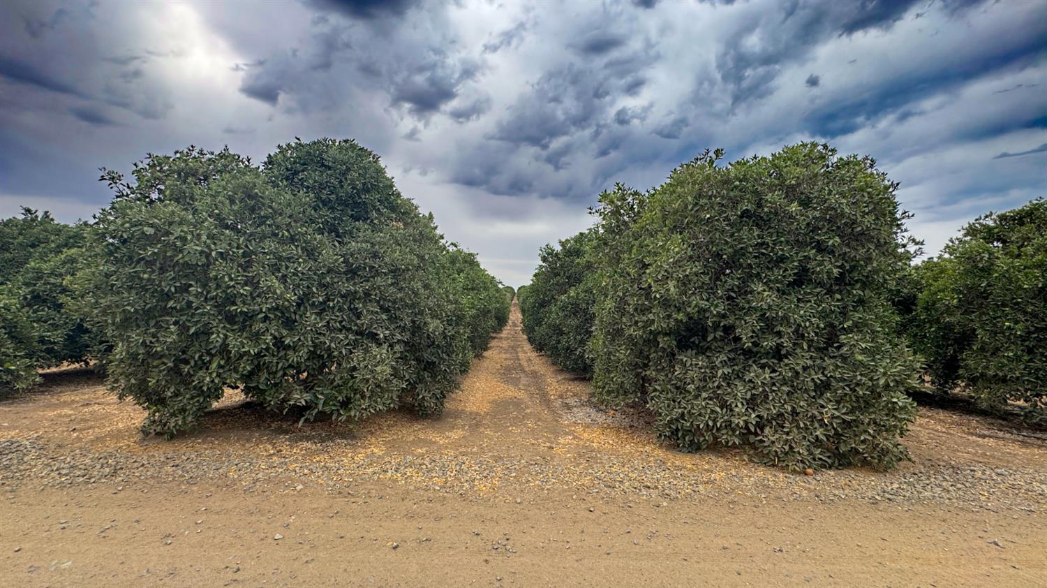 265 Acres Road 240, Ducor, CA 93218