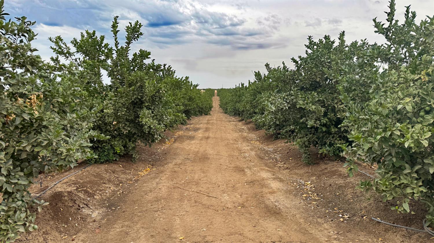 265 Acres Road 240, Ducor, CA 93218