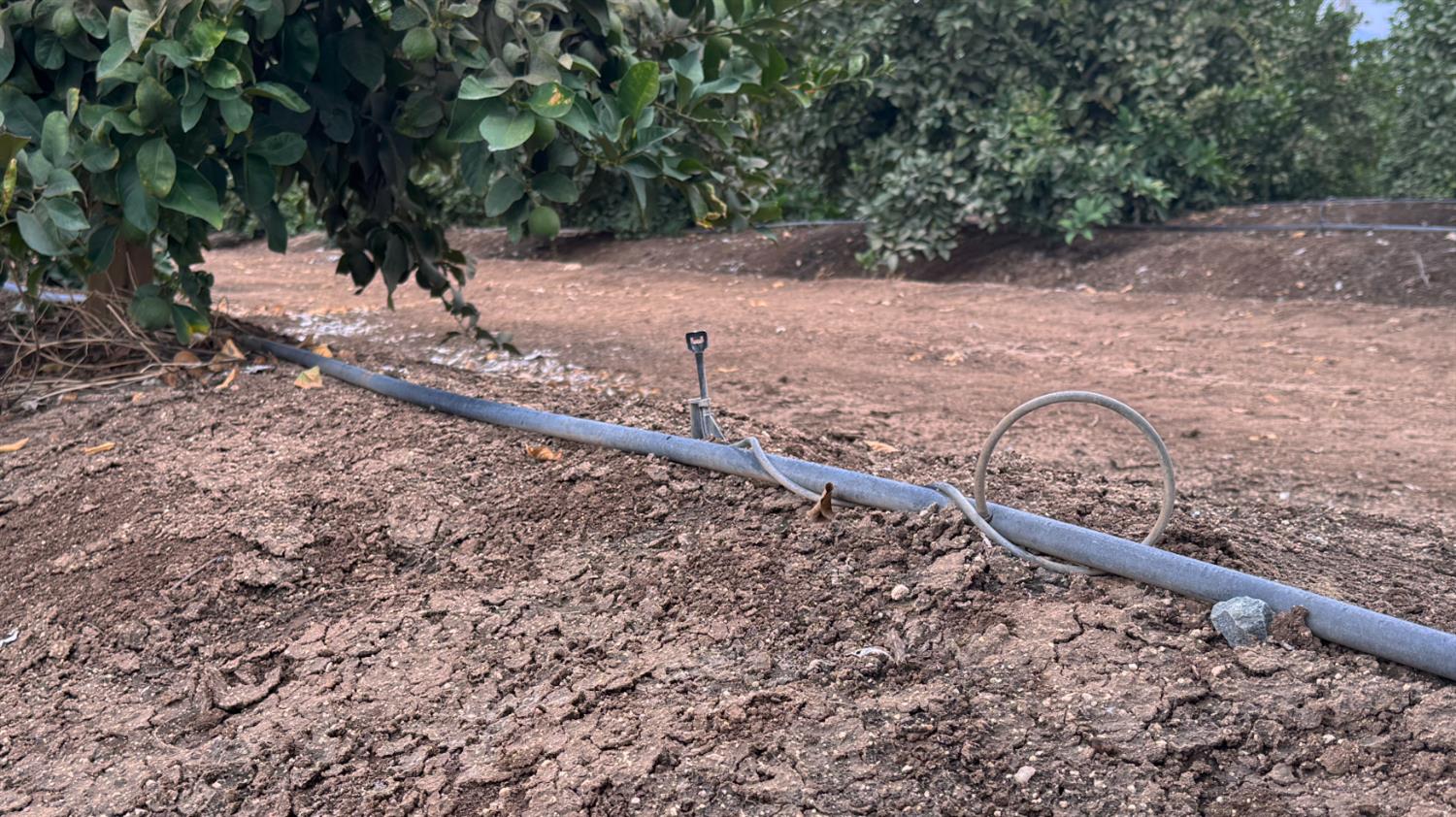 265 Acres Road 240, Ducor, CA 93218