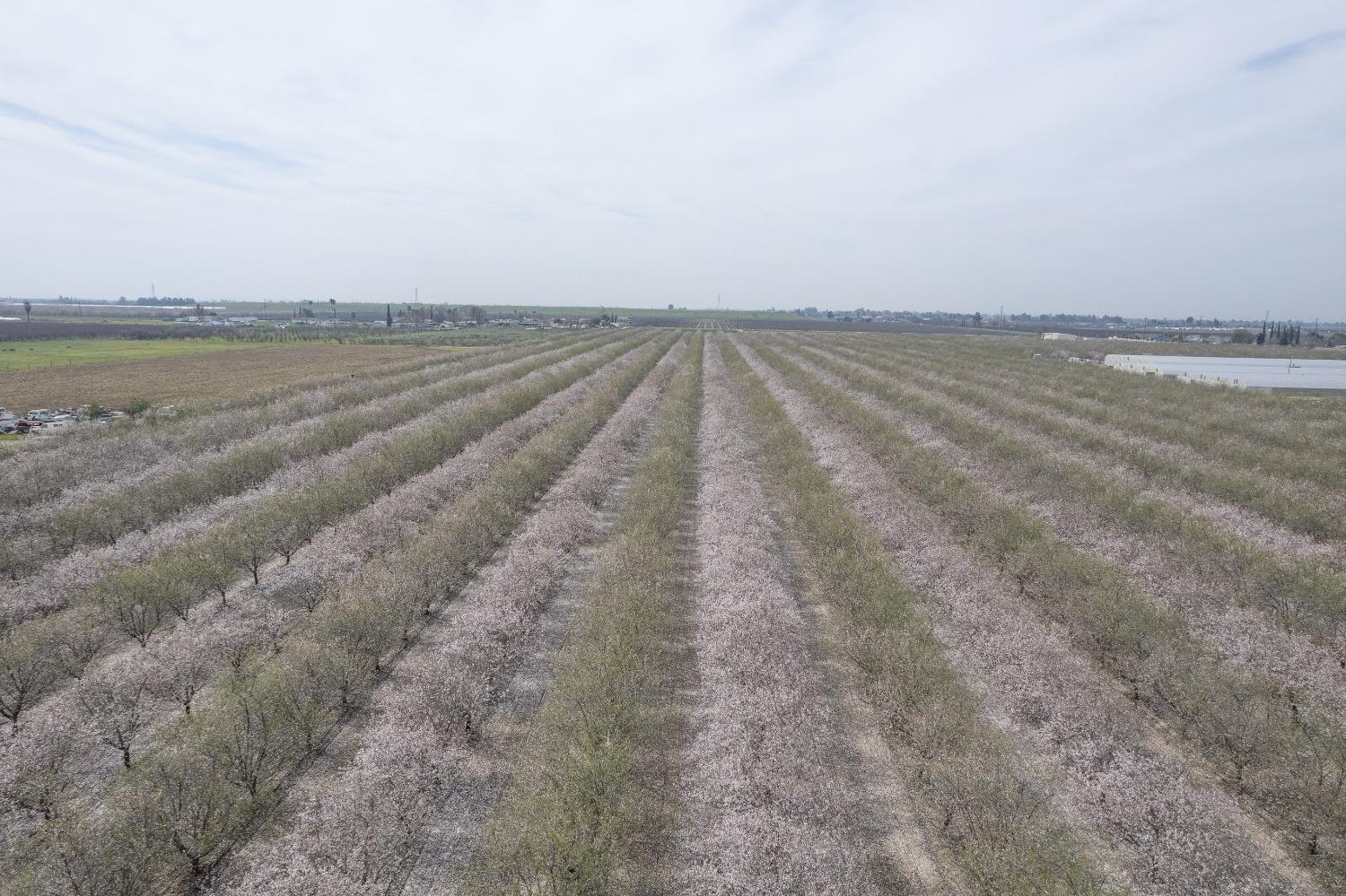 0 000 APN 328-050-37, Fresno, CA 93706