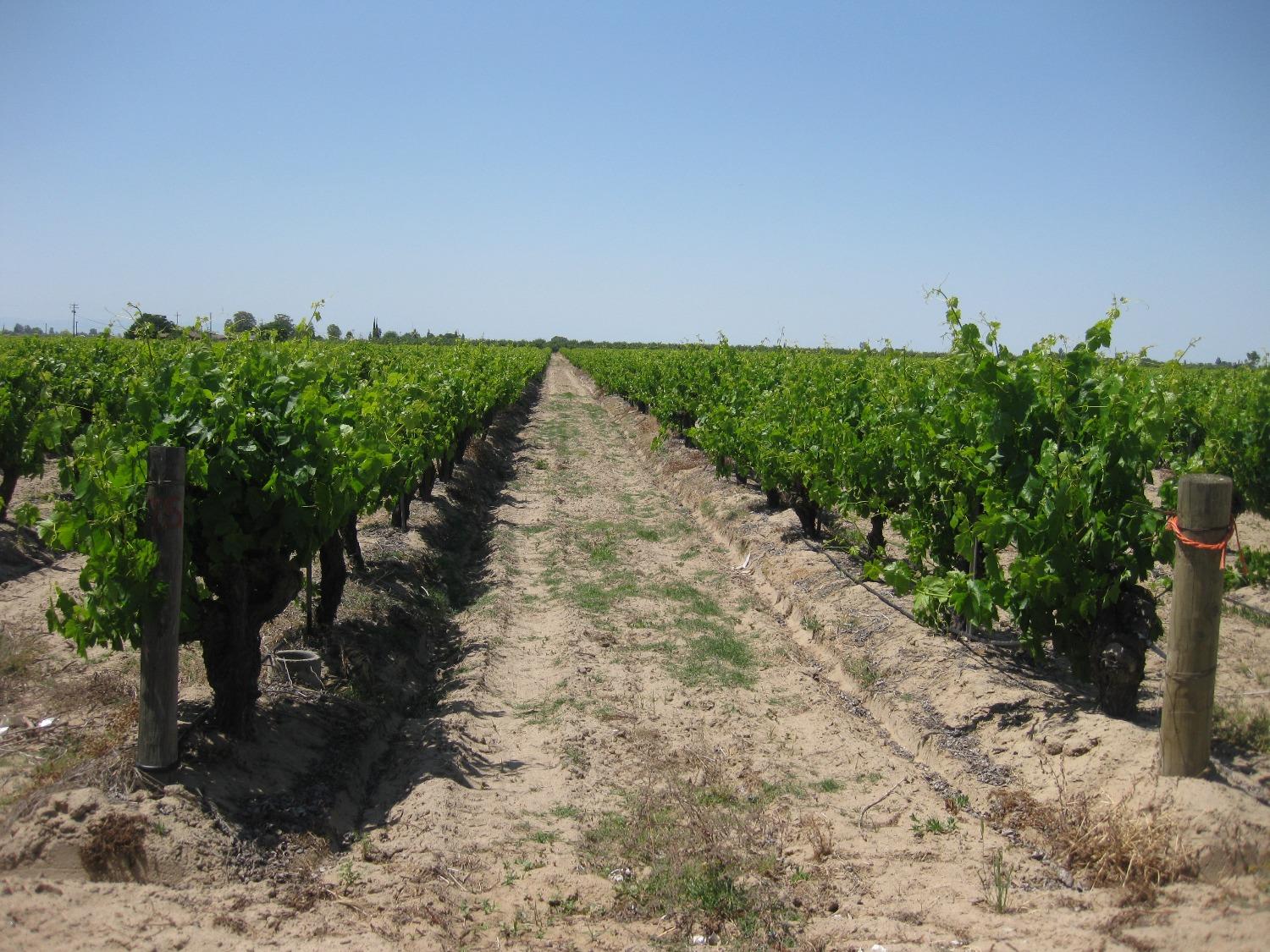 2738 E Rose Ave, Fresno, CA 93725