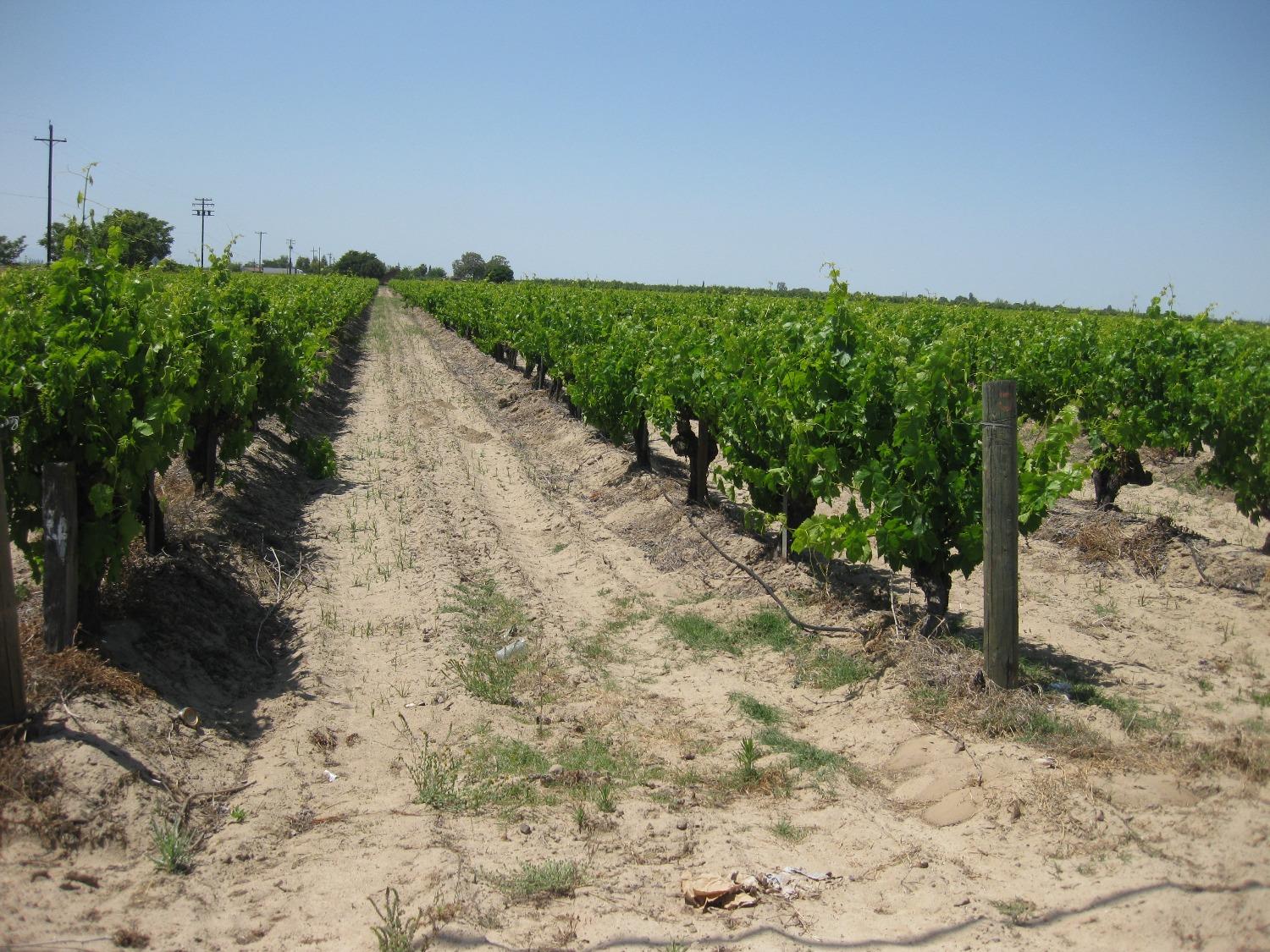 2738 E Rose Ave, Fresno, CA 93725