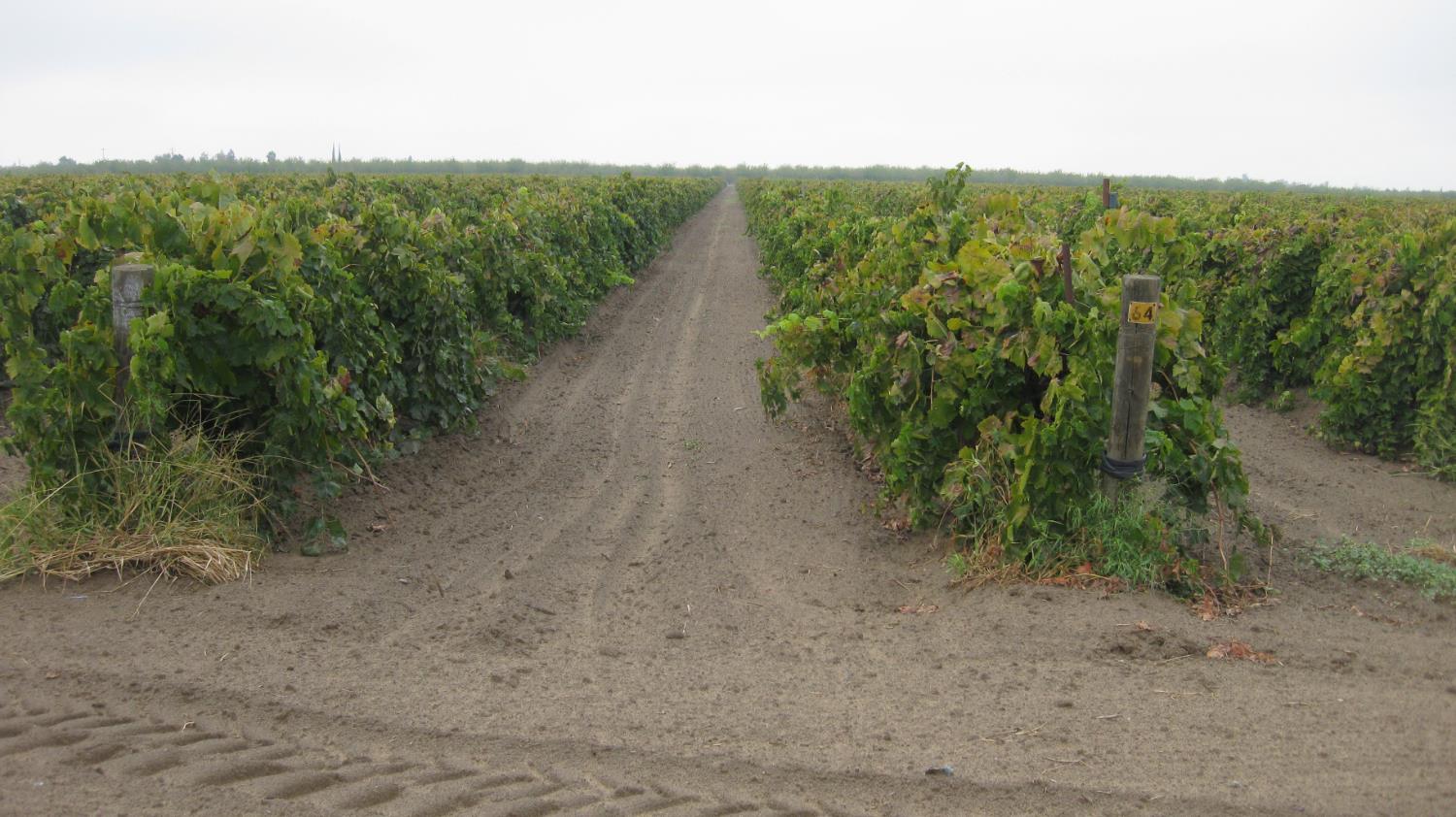 2738 E Rose Ave, Fresno, CA 93725