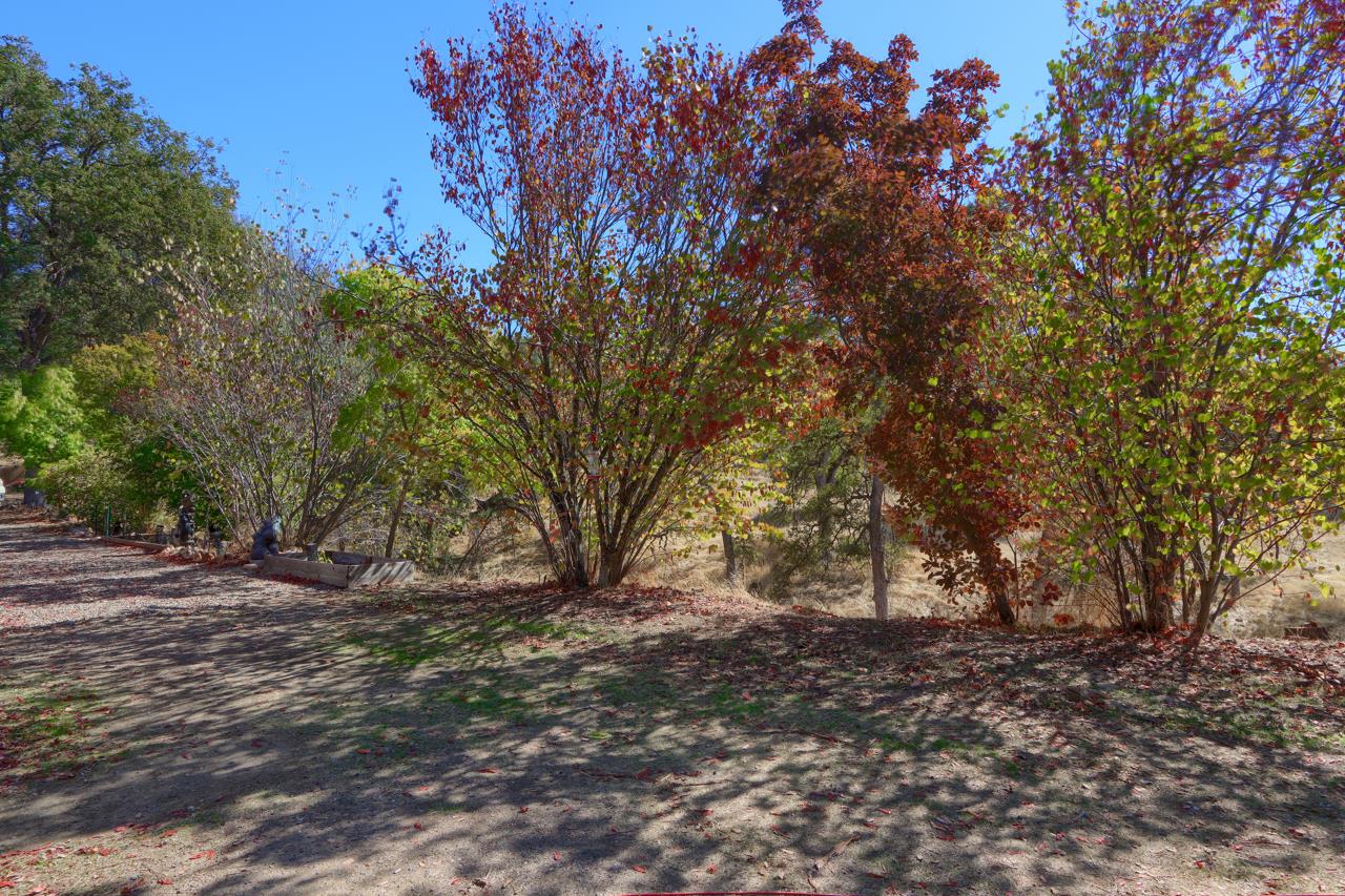 4733 Hirsch Rd, Mariposa, CA 95338