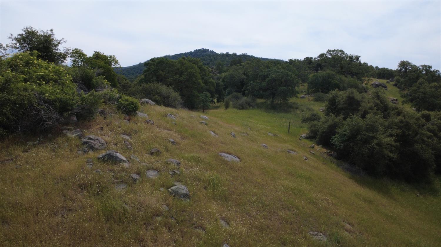 47595 Diablo Ln, Yokuts Valley, CA 93675