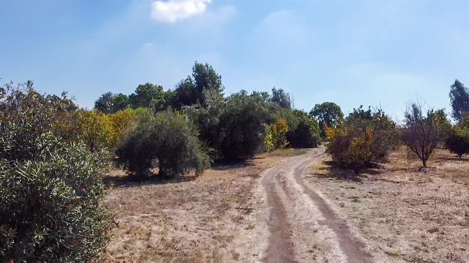 6391 E Copper Ave, Clovis, CA 93619