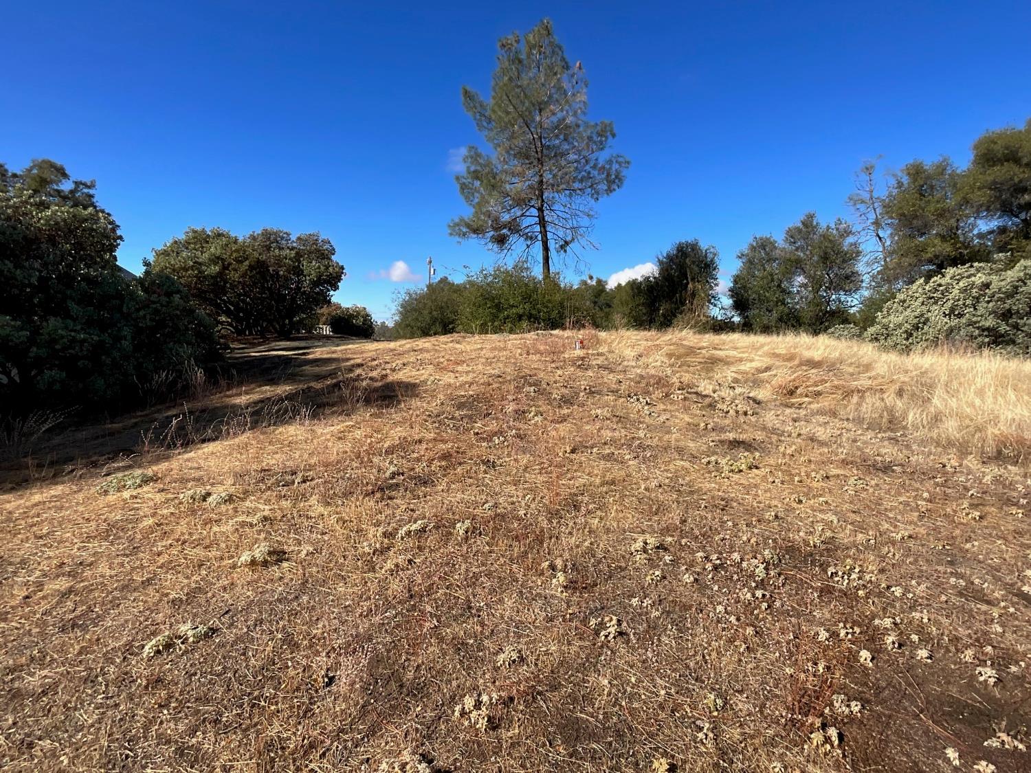 32011 Meadowridge Rd, Coarsegold, CA 93614