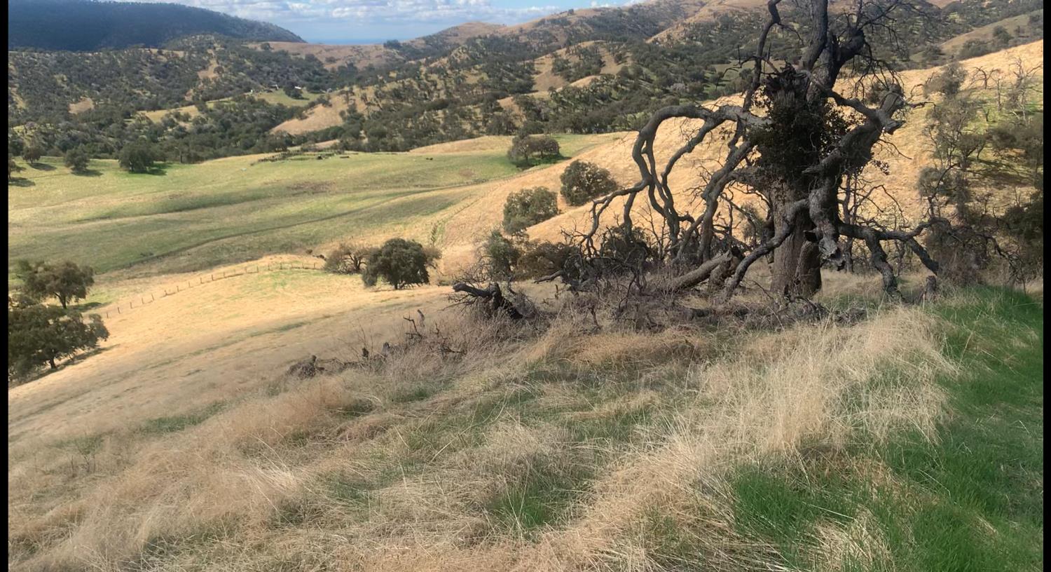 40 Seminole Rd, Tollhouse, CA 93667