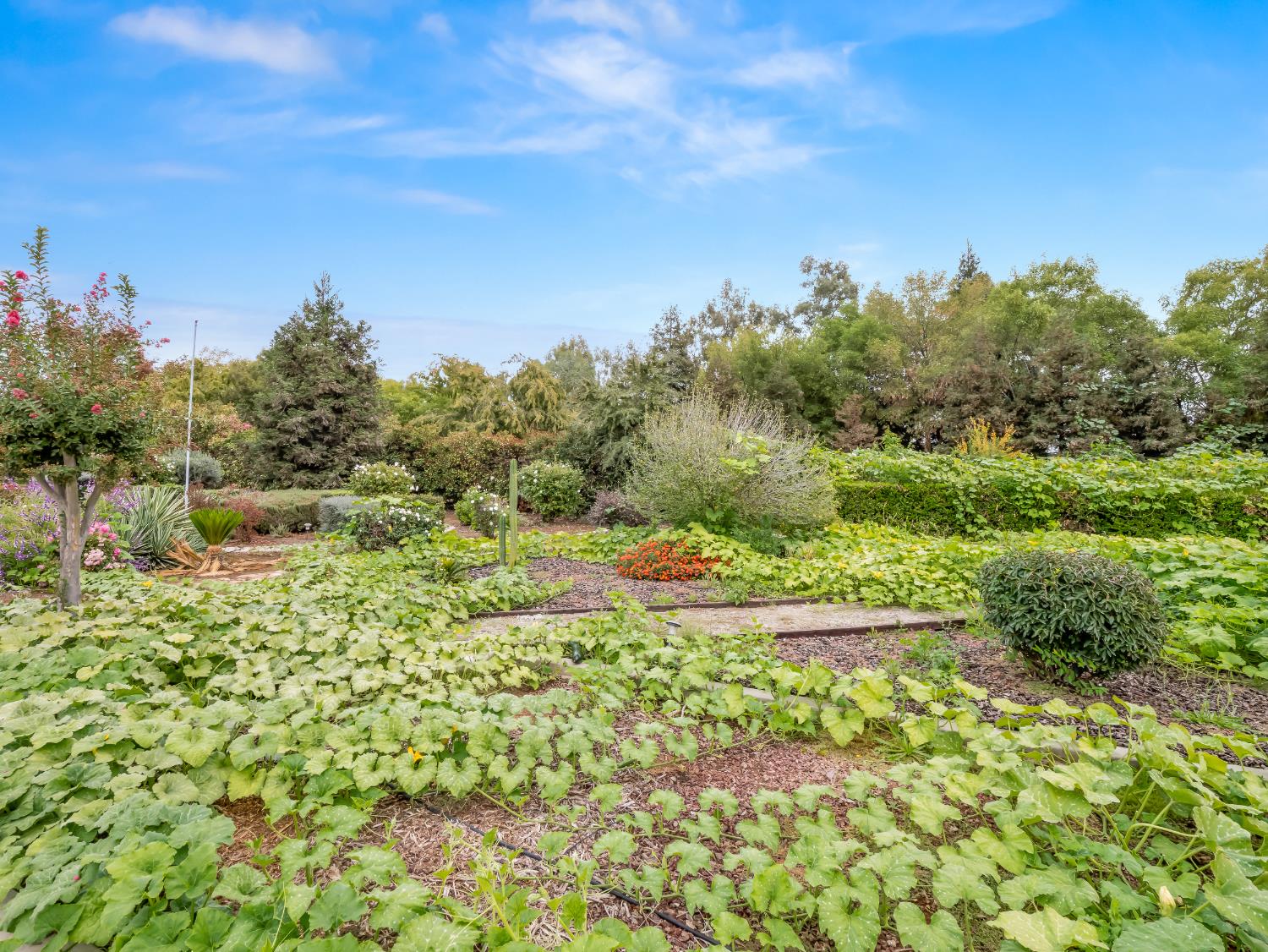 35673 Avenue 12 1/2, Madera, CA 93636