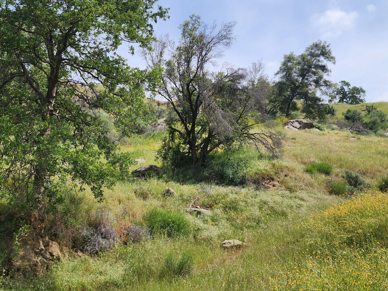 1 Baywood, Yokuts Valley, CA 93675