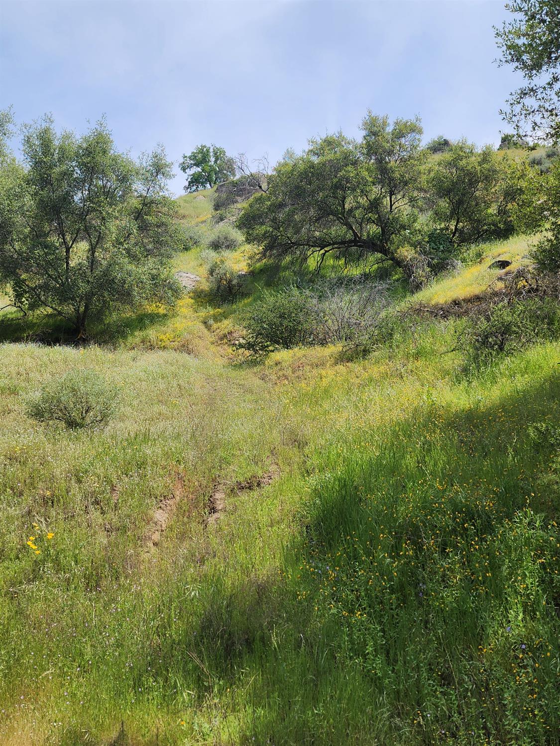 1 Baywood, Yokuts Valley, CA 93675