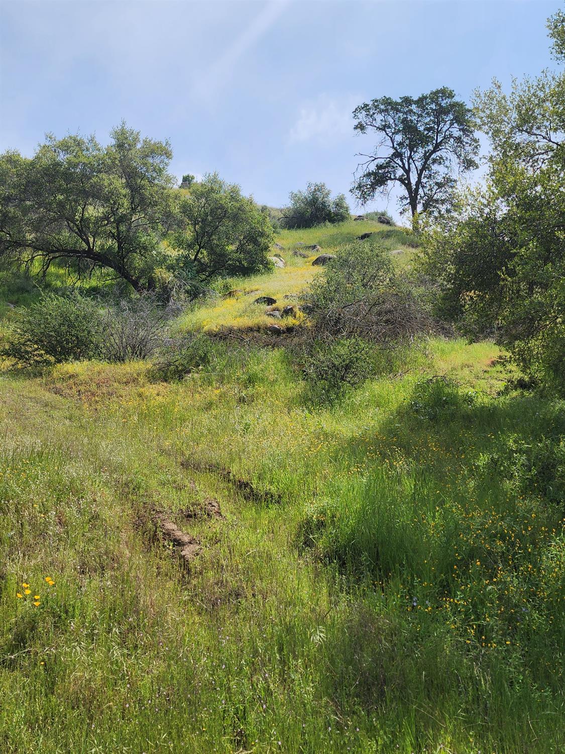 1 Baywood, Yokuts Valley, CA 93675