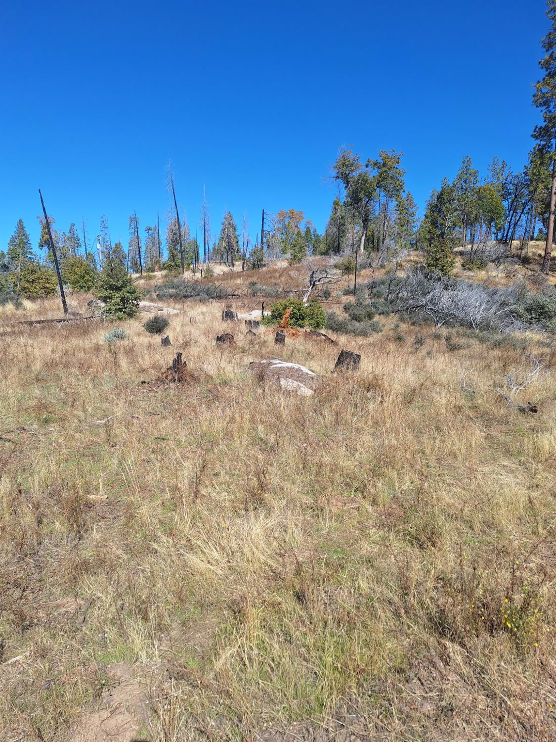 42112 Cedar Springs Rd, Auberry, CA 93602