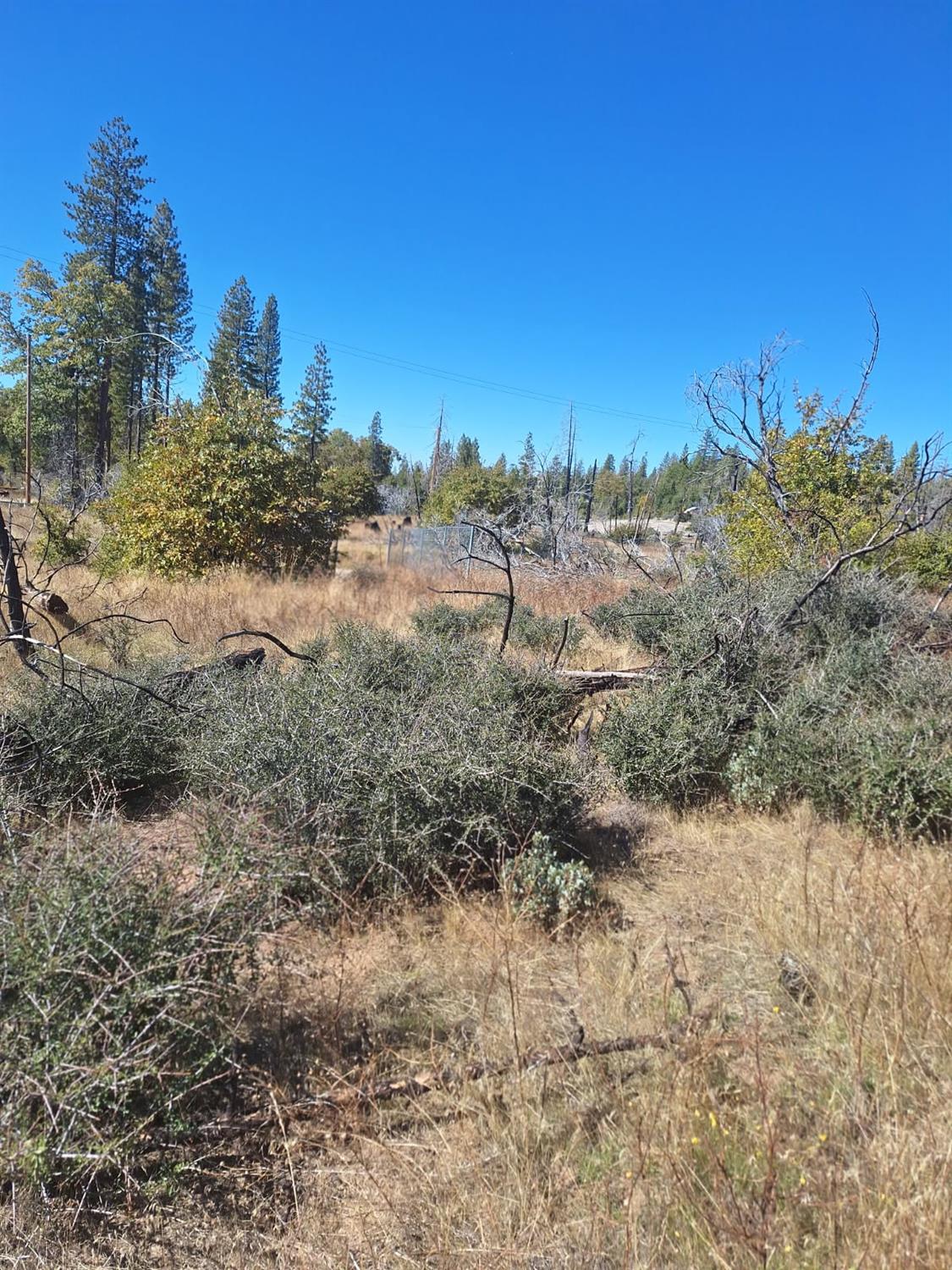 42112 Cedar Springs Rd, Auberry, CA 93602