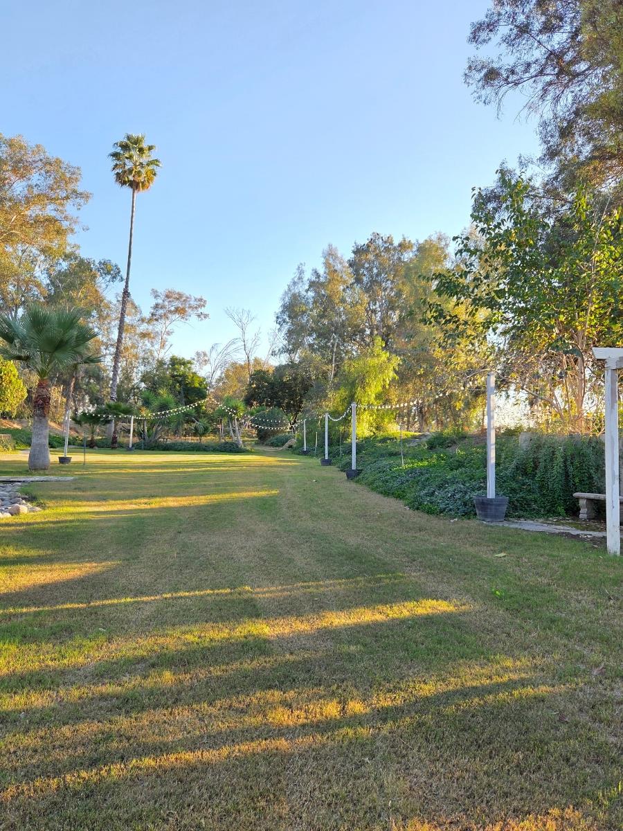 22849 E Jefferson Ave, Reedley, CA 93654