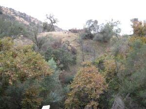 35548 Hummingbird Ln, Yokuts Valley, CA 93675