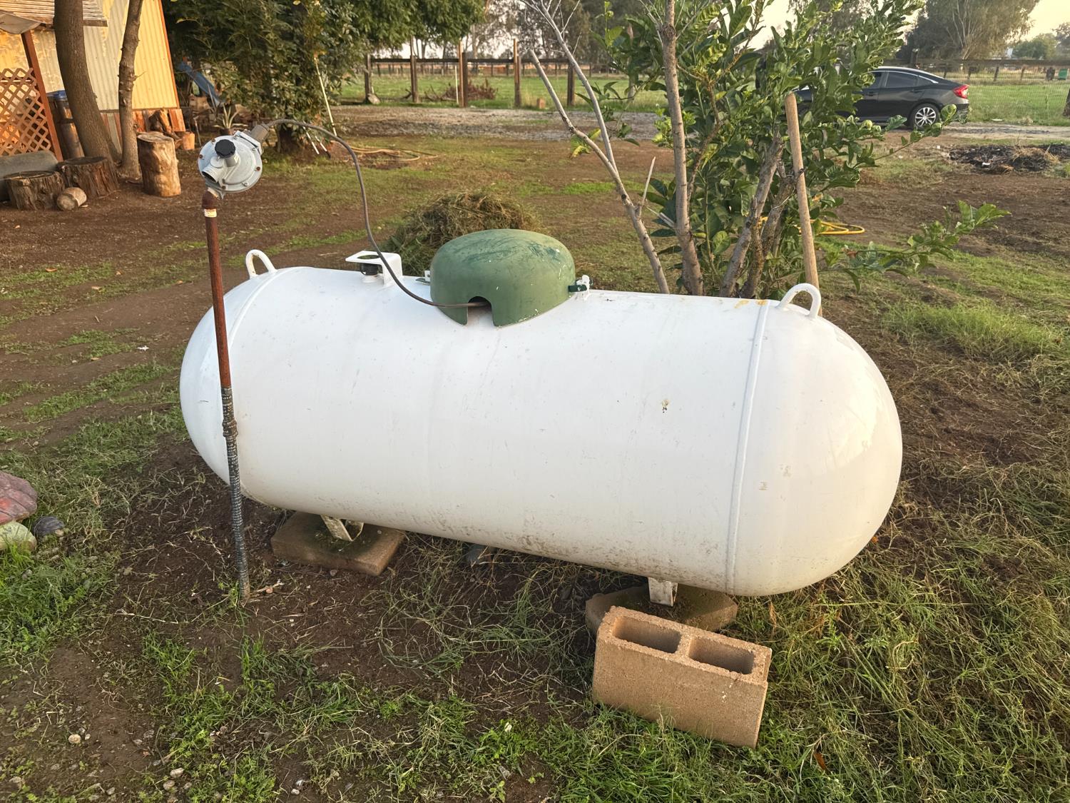 12740 E Robinson Ave, Sanger, CA 93657