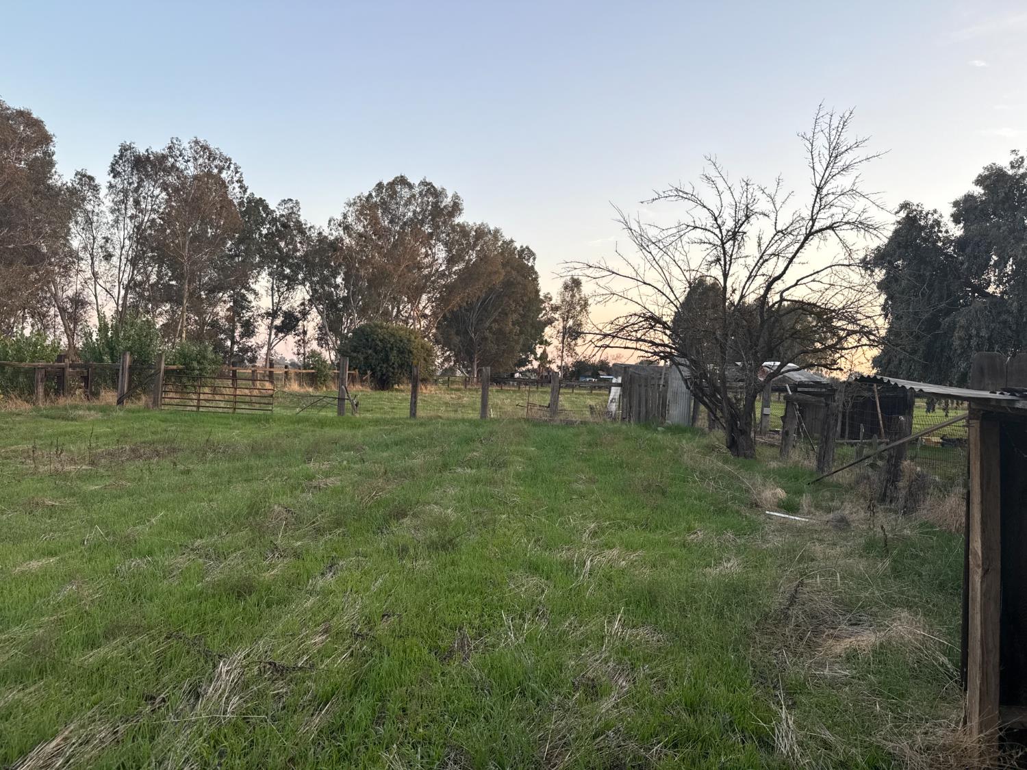 12740 E Robinson Ave, Sanger, CA 93657