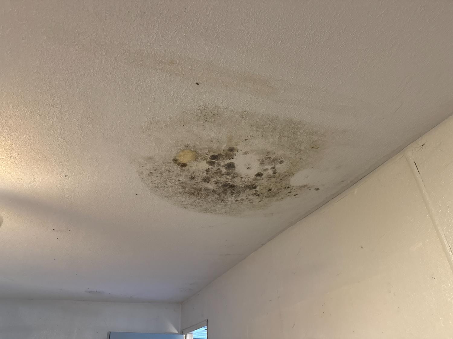 12740 E Robinson Ave, Sanger, CA 93657