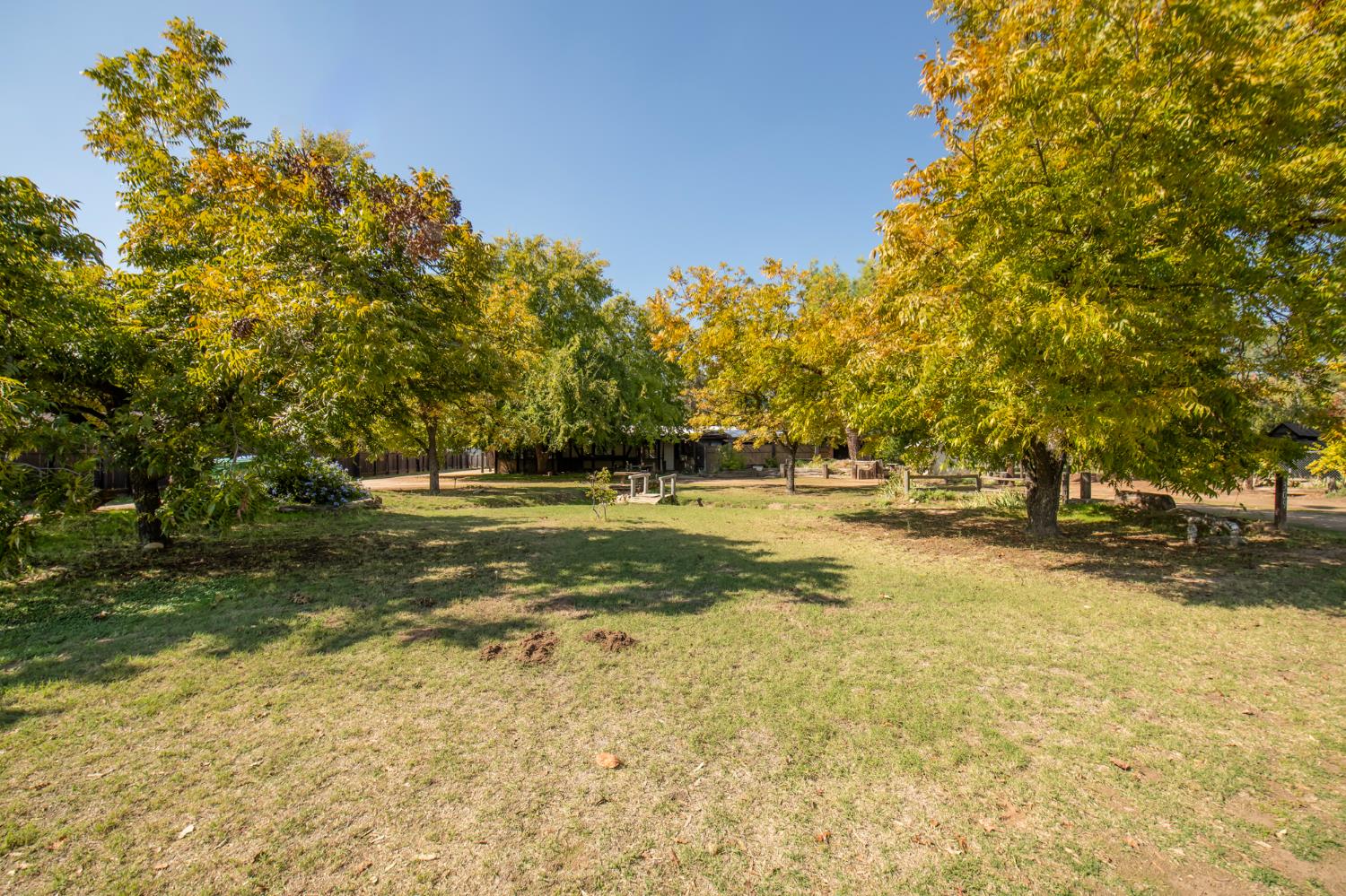 1309 Temperance, Fresno, CA 93727