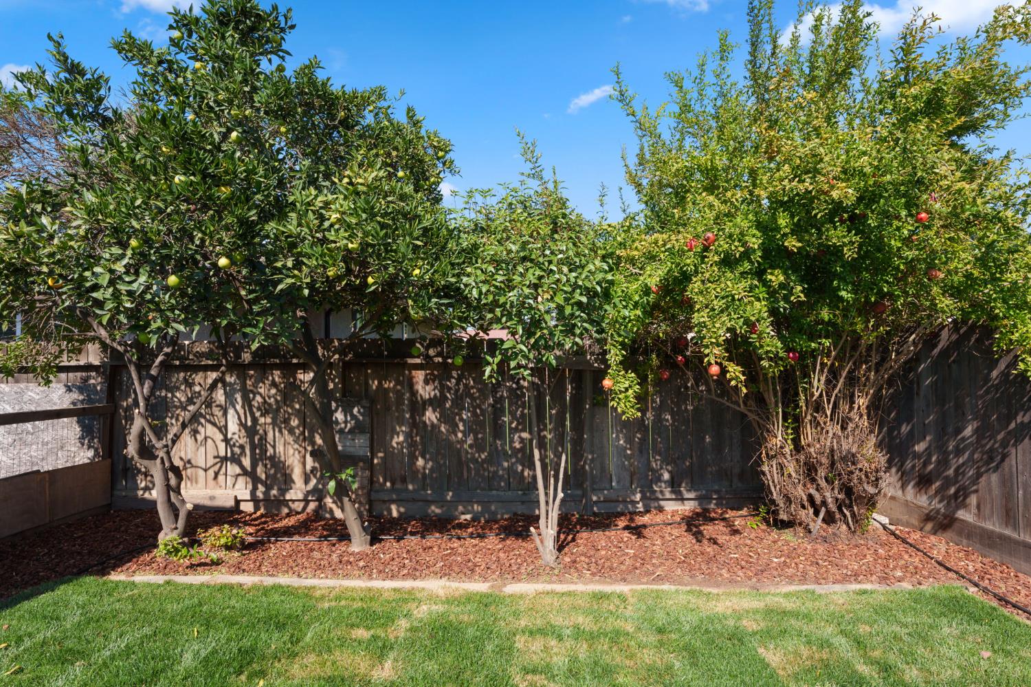 6804 N Backer Ave, Fresno, CA 93710