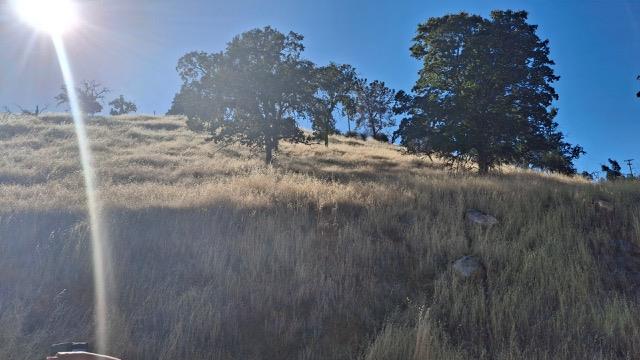 51113 Hidden Lake Blvd, Madera, CA 93626