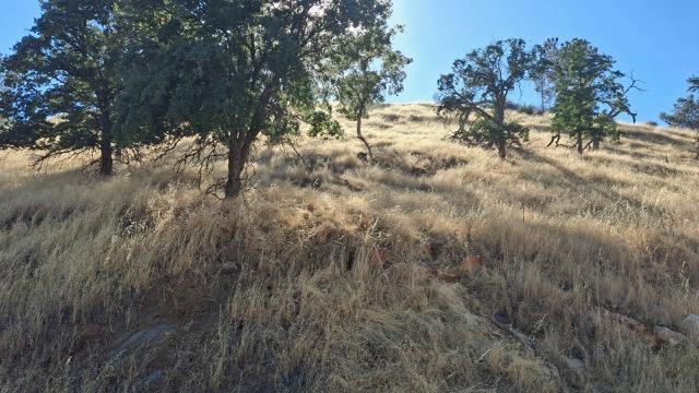 51113 Hidden Lake Blvd, Madera, CA 93626