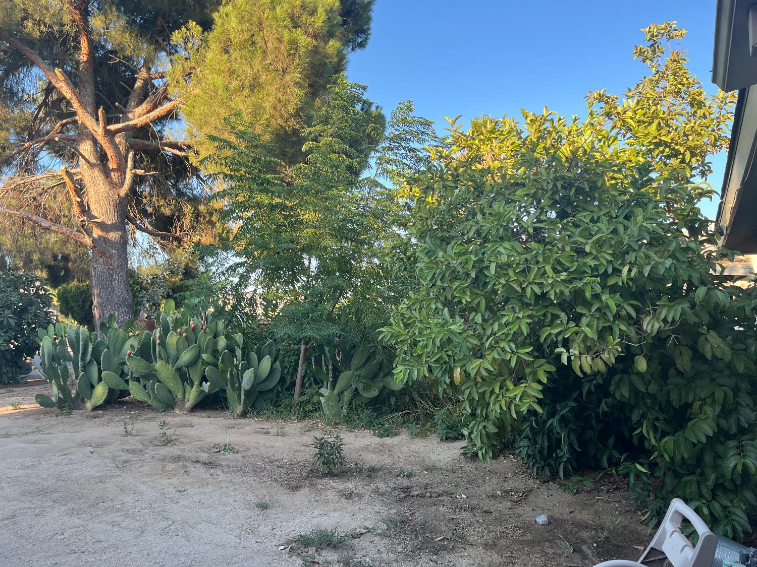 800 Wessmith Way, Madera, CA 93638