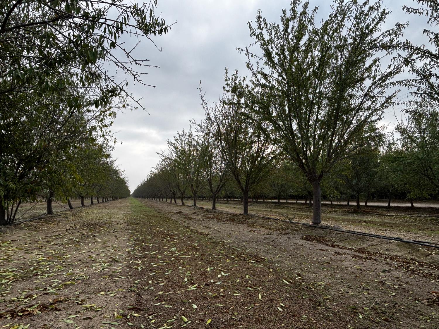 32380 Avenue 10, Madera, CA 93636