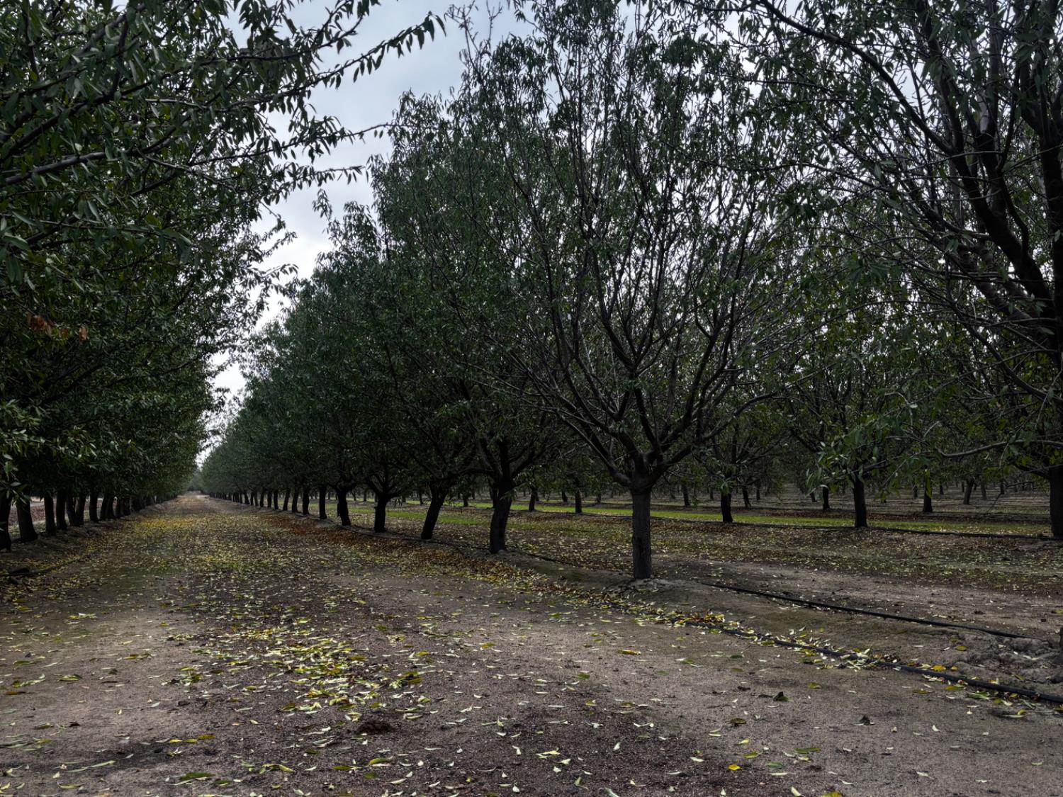 32380 Avenue 10, Madera, CA 93636